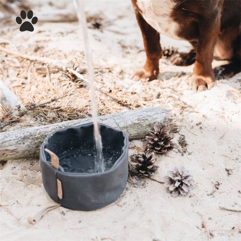 Faltbarer nachhaltiger Hundenapf mit Karabiner Haken Camping Reise unterwegs Wassernapf Fressnapf 3600ml